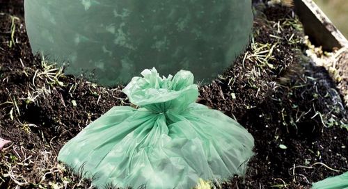 Dernières nouvelles de l'entreprise sur Les sacs en plastique compostables sont-ils biodégradables ? Démystification des mythes