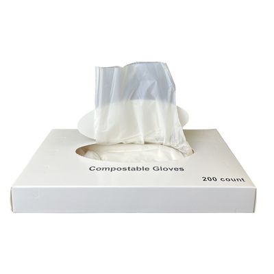 Bon prix Gants à usage unique et sans latex Gants jetables pour le service alimentaire et des boissons, gants pour la préparation et la cuisson des aliments, écologiques. en ligne