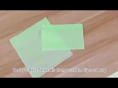 Résine Compostable Ziplock Sacs Sandwich Sacs à nouveau verrouillable Certifié SGS FDA